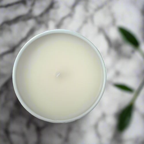 Bdesign candle refill for ceramic jar – eco-friendly replacement